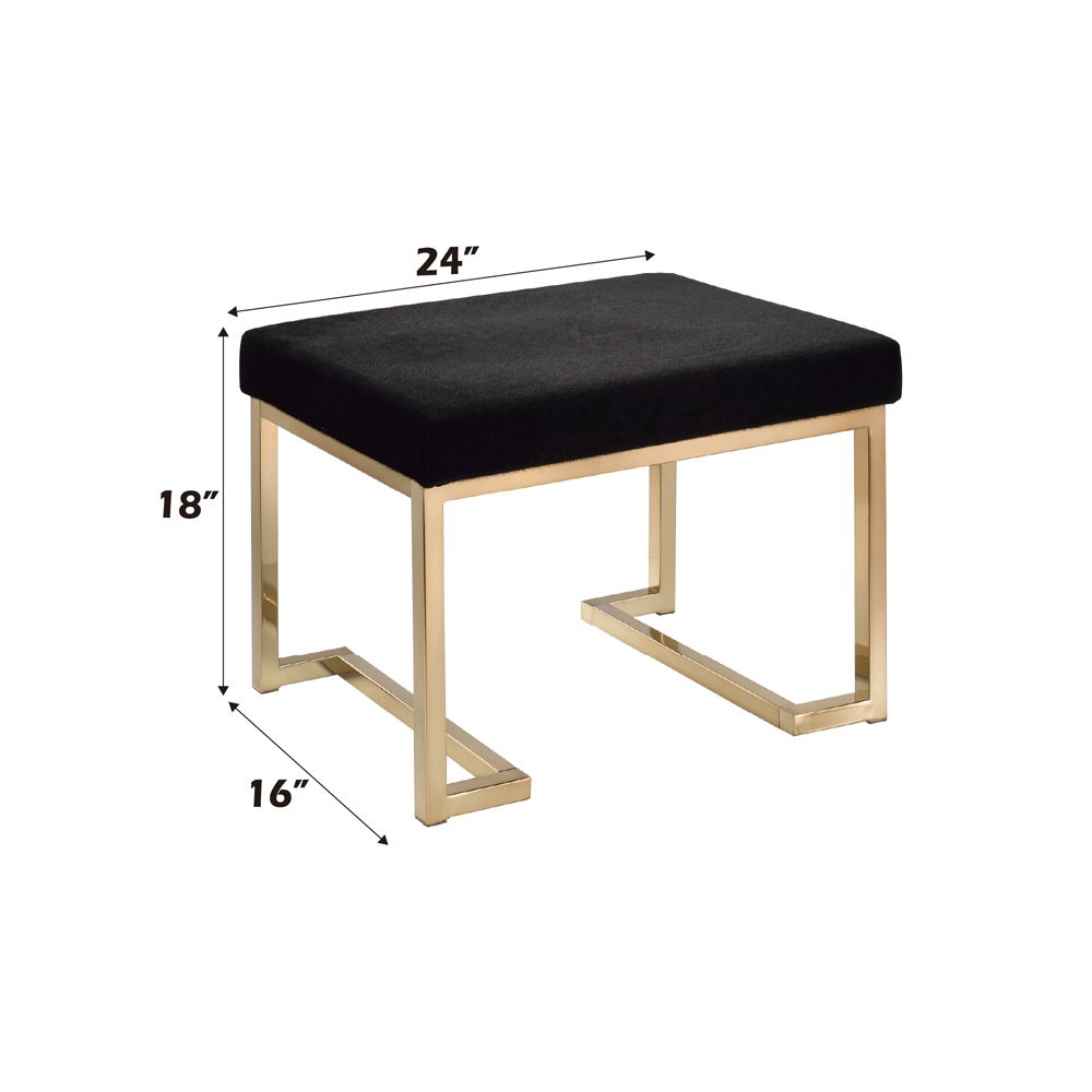 Boice - Ottoman - Black Fabric & Champagne