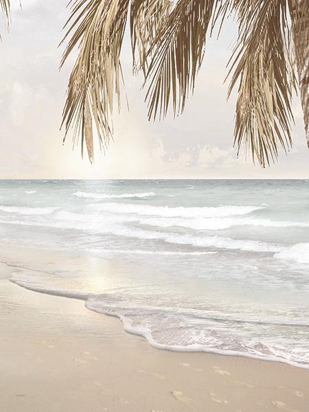 Coastal Dreams Iv By Amber Sterling - Light Blue