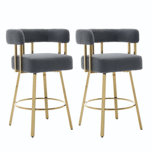 Decorative Upholstered Side Chair For Living Room (Set of 2)