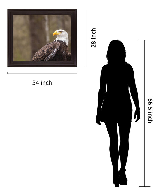 Stoic Watcher - 28" x 34" Framed Wall Art