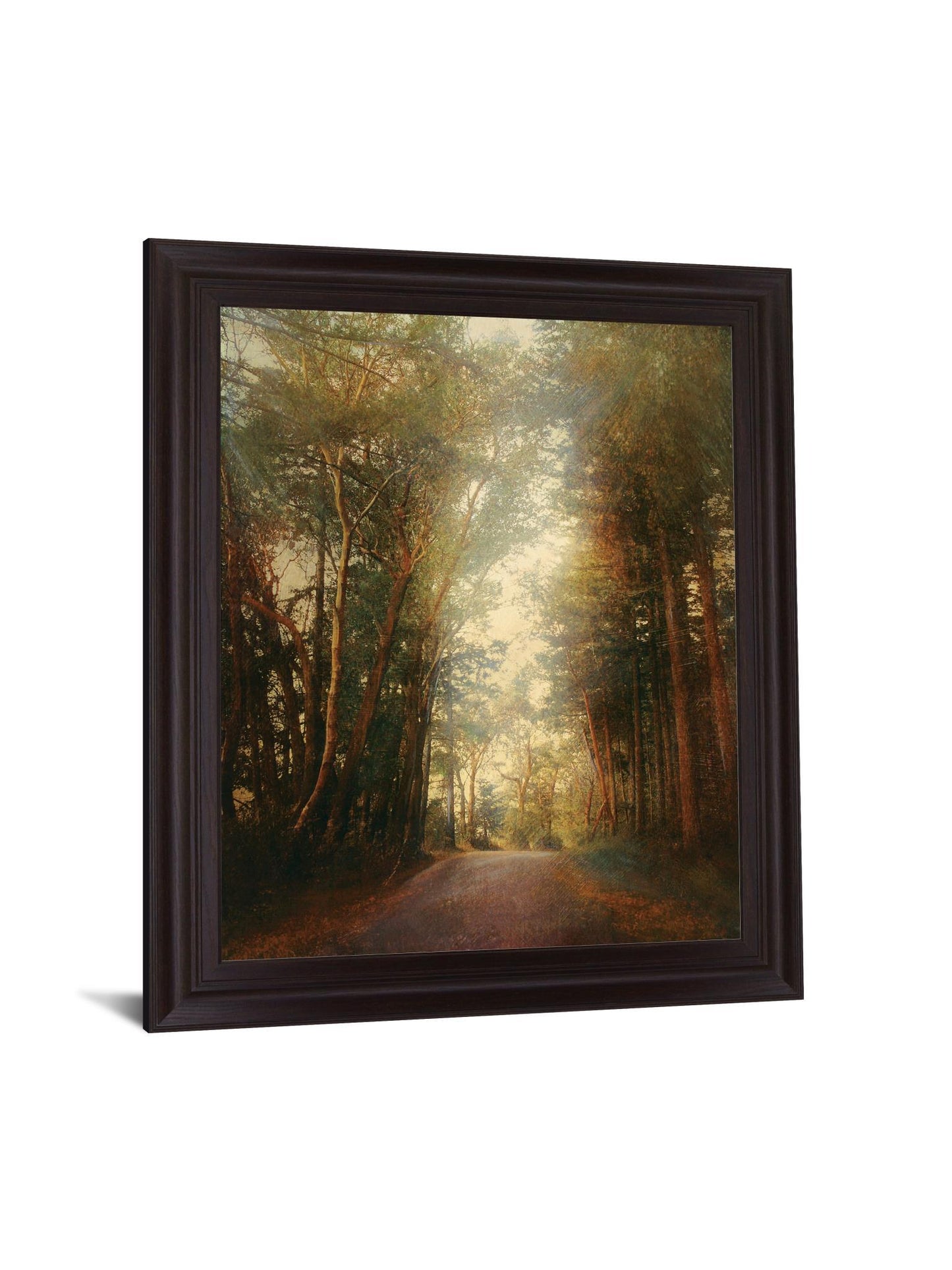Sunbeam Woodland - 28" x 34" Framed Wall Art