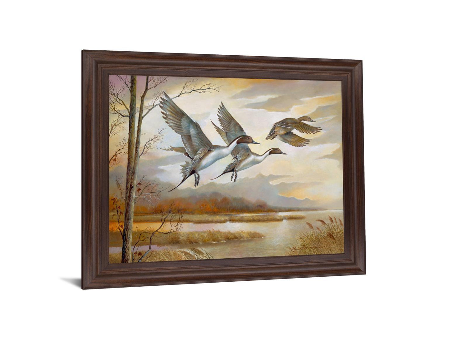 Soaring Pintails - 28" x 34" Framed Wall Art