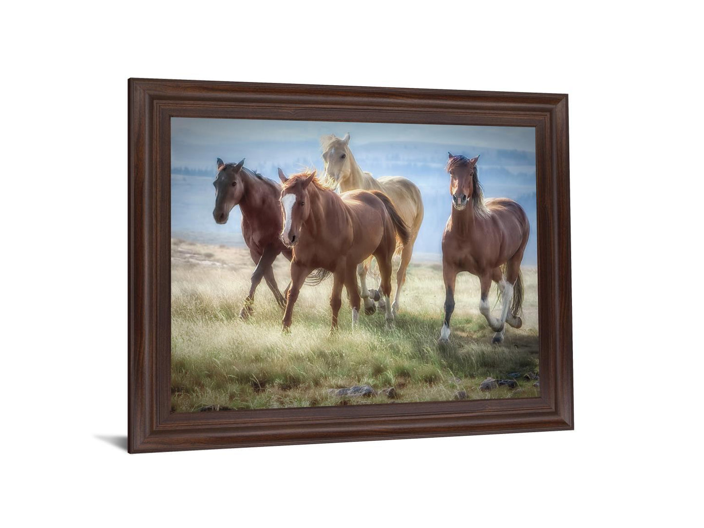Wild Meadow Gallop - 28" x 34" Framed Wall Art