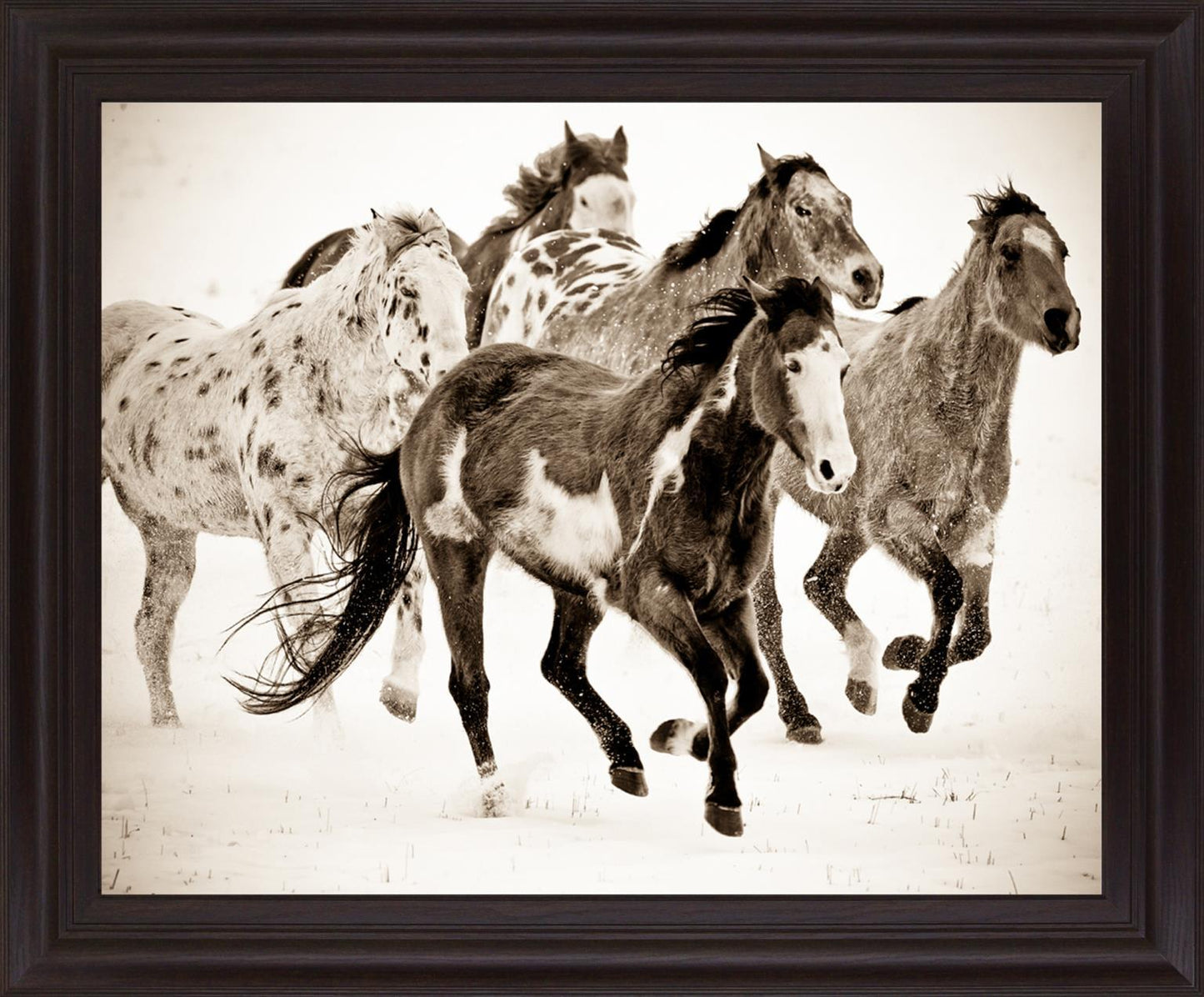 Speckled Gallop - 28" x 34" Framed Wall Art