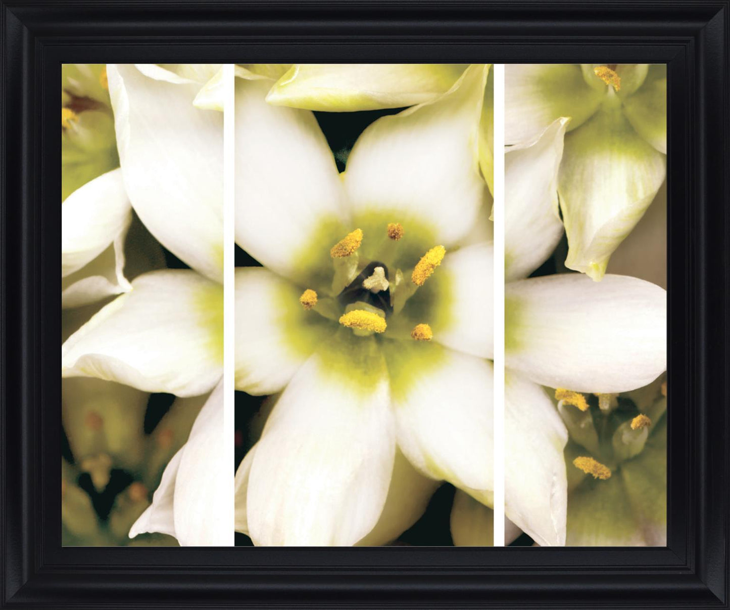 Ivory Petal Radiance - 28" x 34" Framed Wall Art