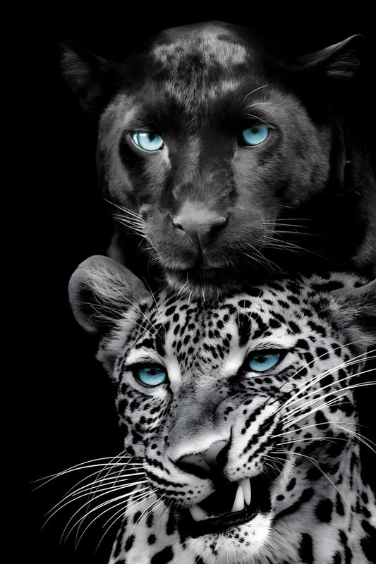 Azure Gaze Duo - 40" x 60" Framed Wall Art