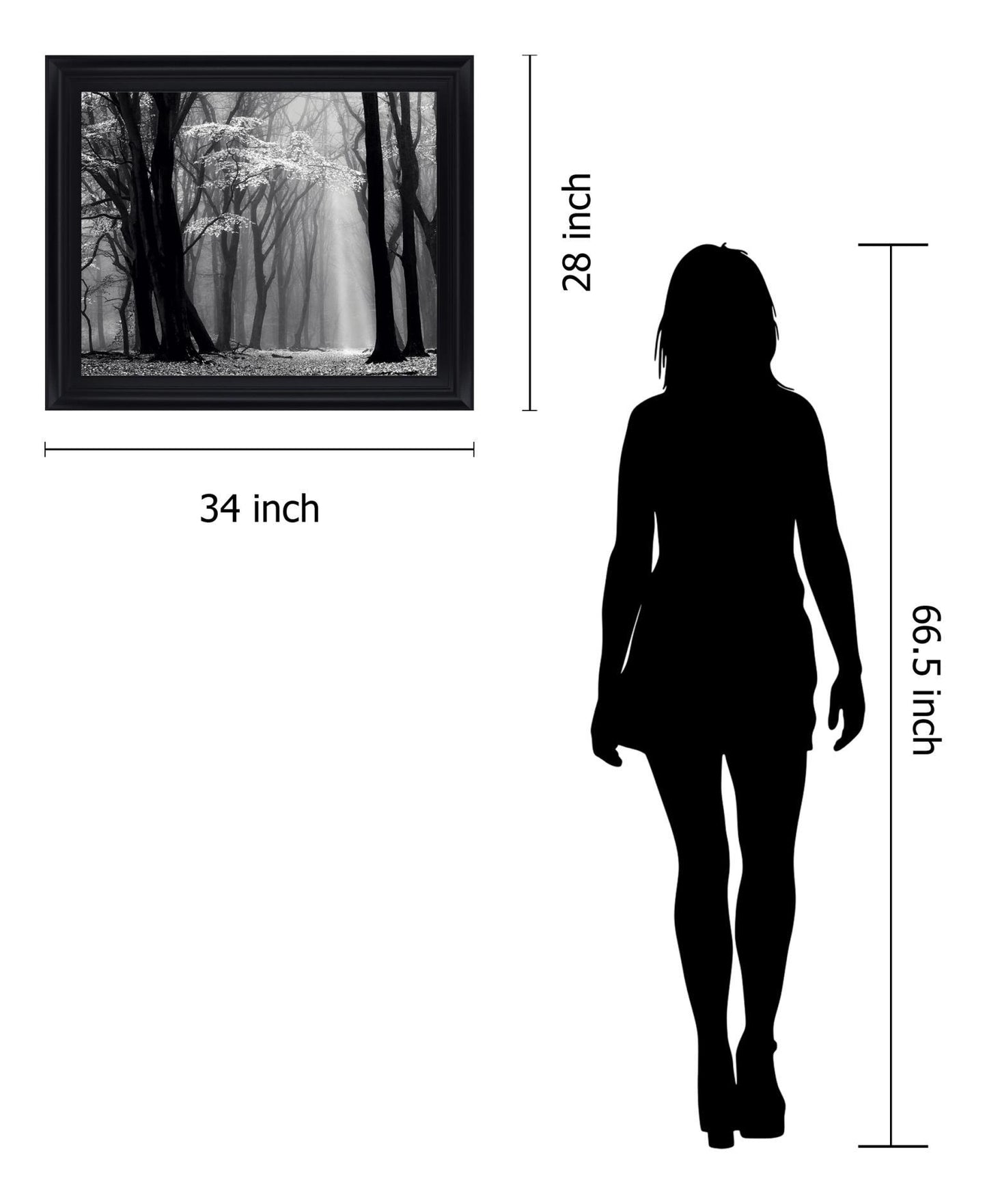 Silent Grove Shadows - 28" x 34" Framed Wall Art