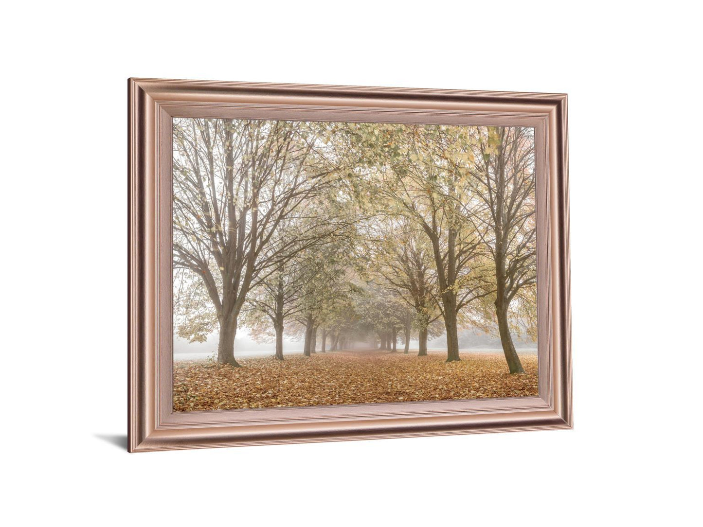 Golden Mist Avenue - 28" x 34" Framed Wall Art