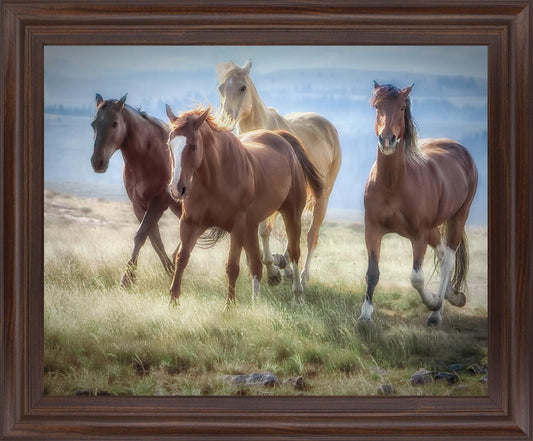 Wild Meadow Gallop - 28" x 34" Framed Wall Art
