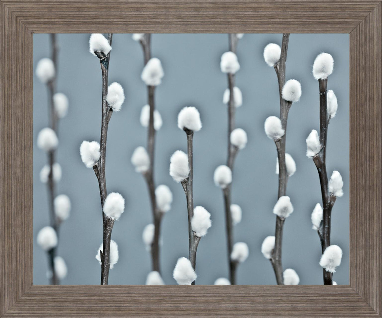 Winter Willow - 28" x 34" Framed Wall Art