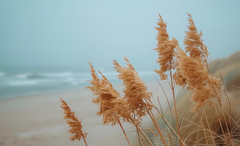 Blowing In The Wind (Framed) - Blue