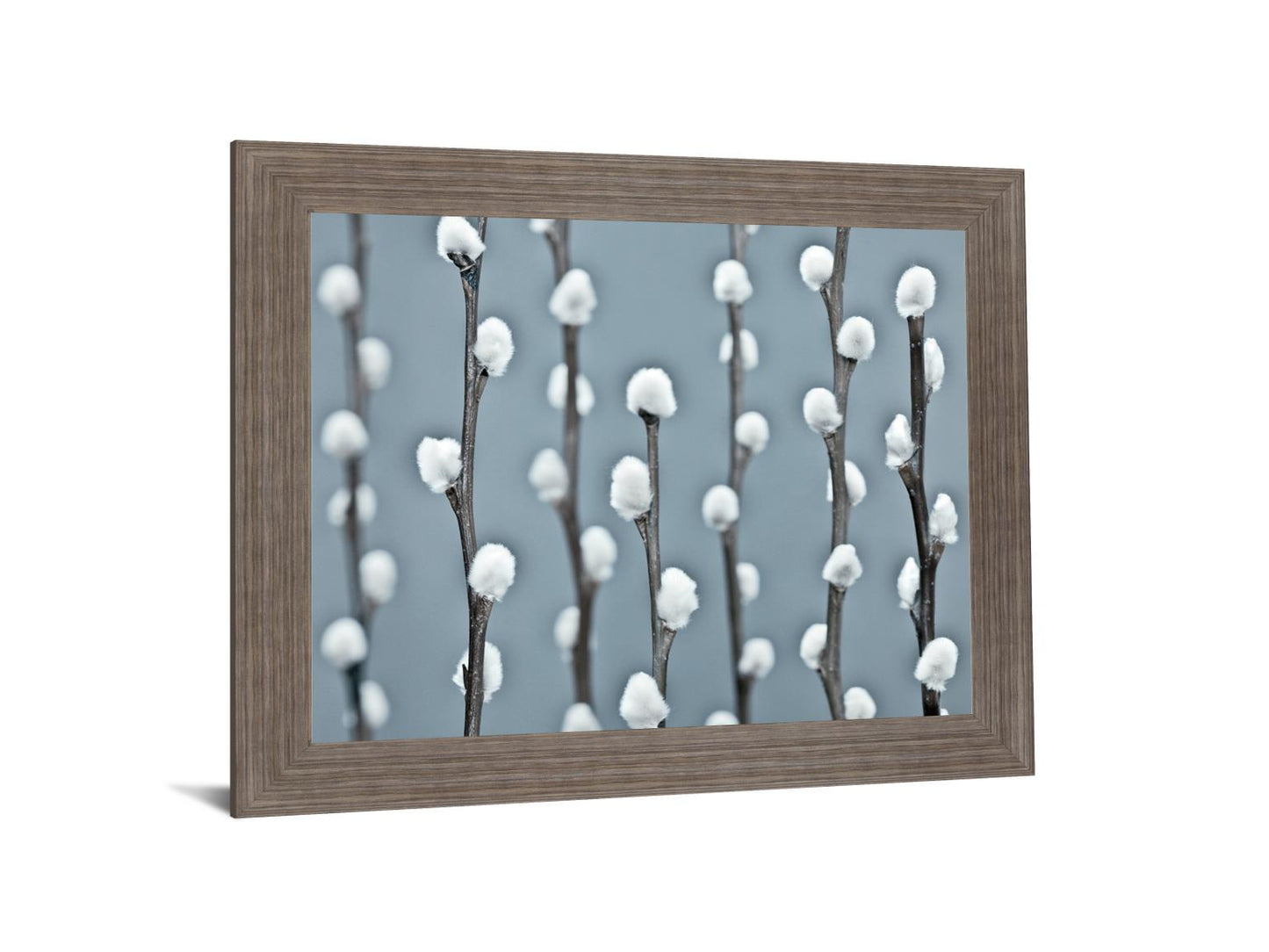 Winter Willow - 28" x 34" Framed Wall Art