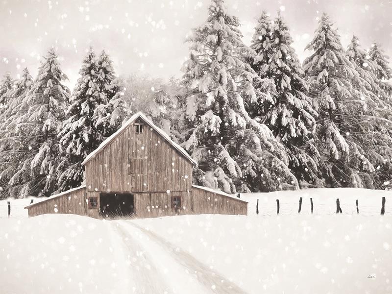 North Country By Lori Deiter - White