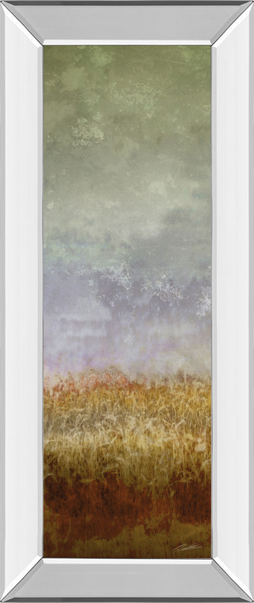 Lush Field Il By John Butler - Mirror Framed Print Wall Art - Dark Gray