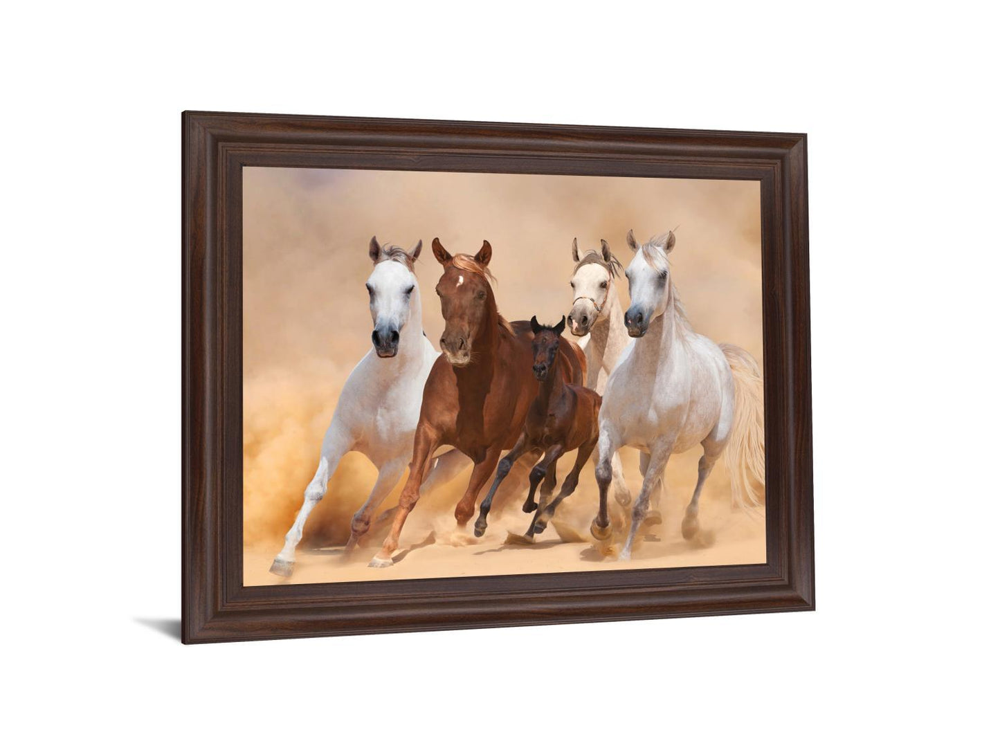 Desert Run - 28" x 34" Framed Wall Art