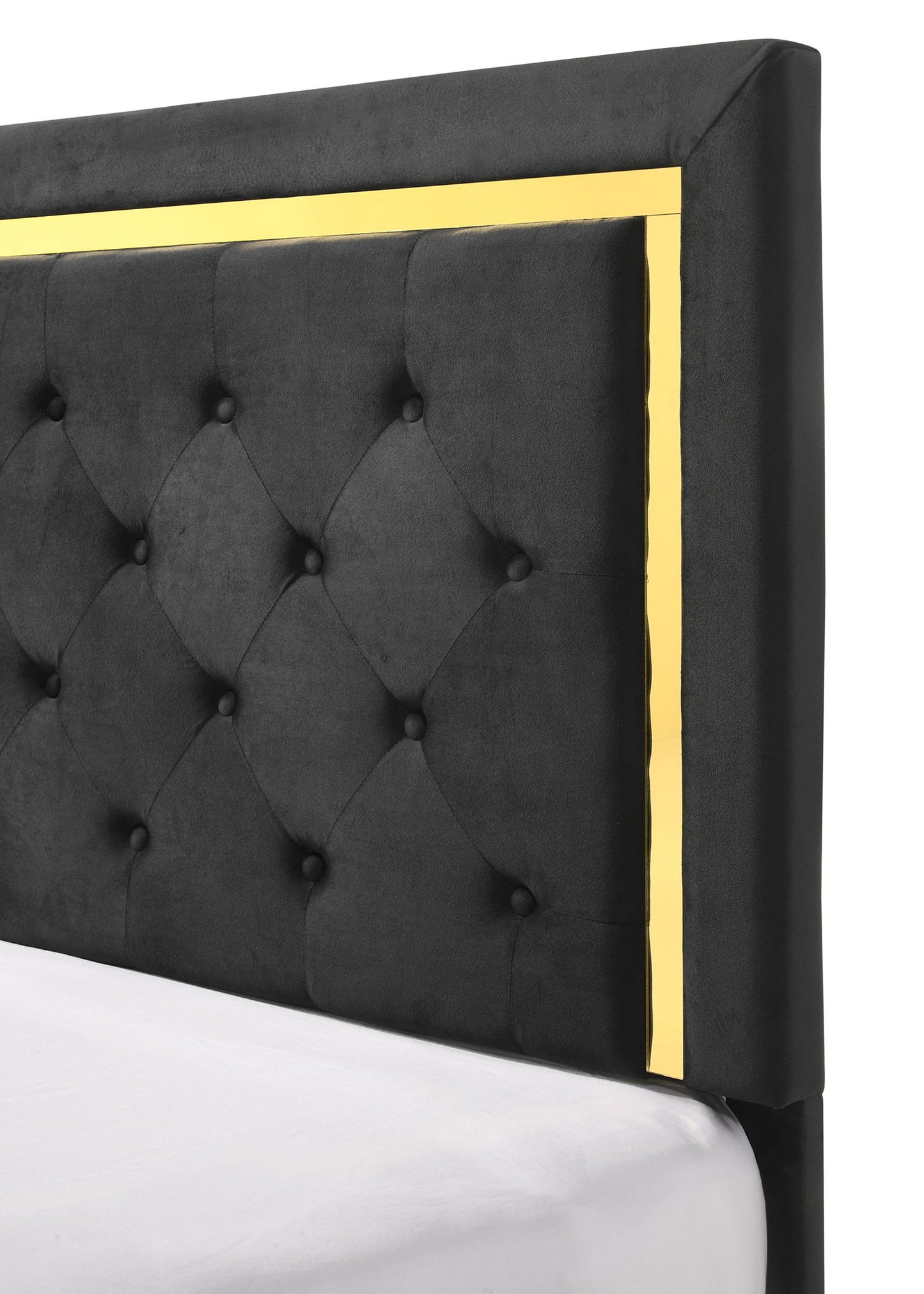 Pepe - Queen Bed - Black