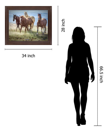 Wild Meadow Gallop - 28" x 34" Framed Wall Art