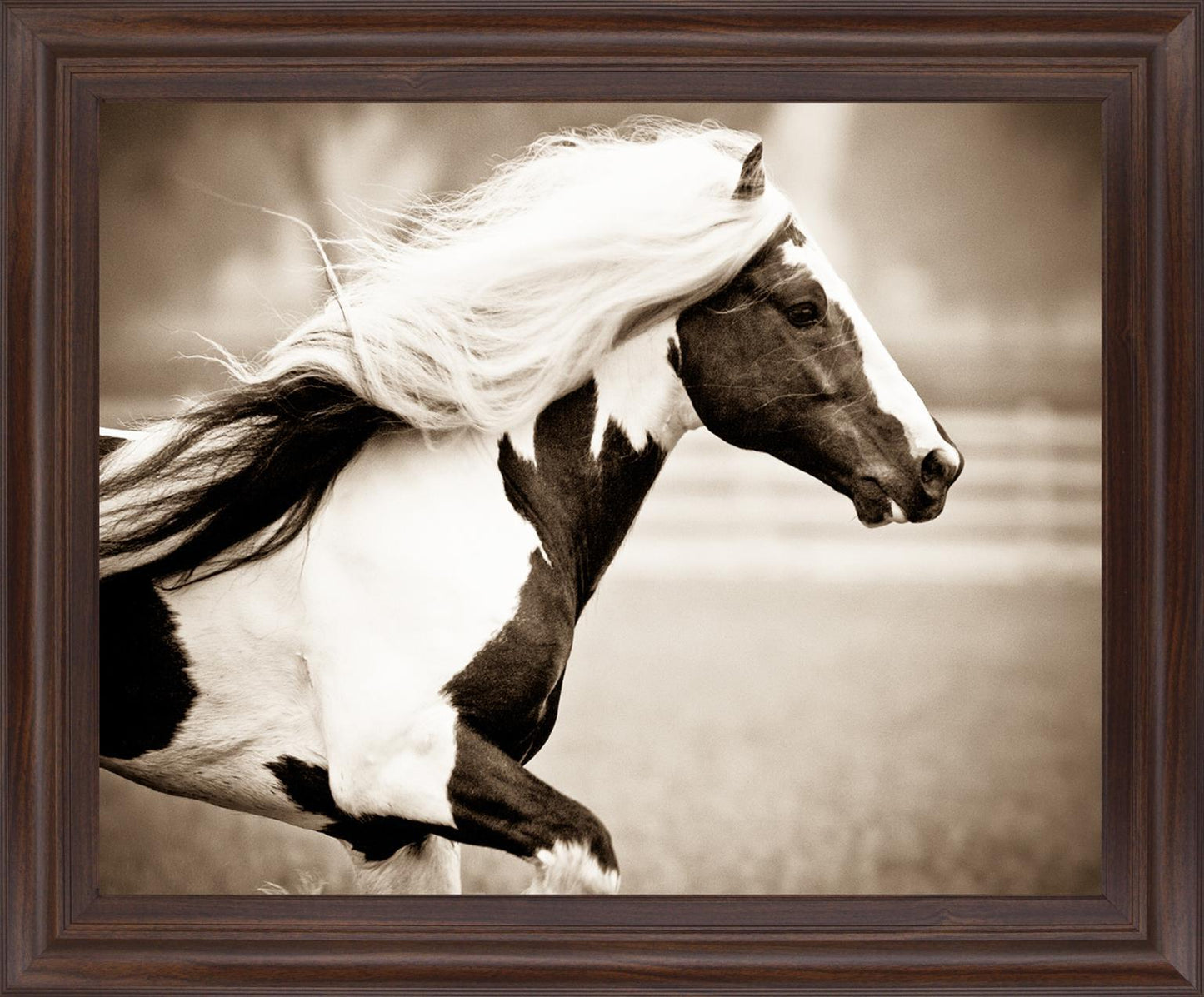 Galloping Spirit - 28" x 34" Framed Wall Art