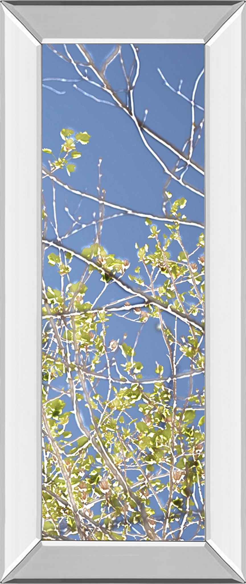 Spring Poplars IV By Sharon Chandler - Mirror Framed Print Wall Art - Green