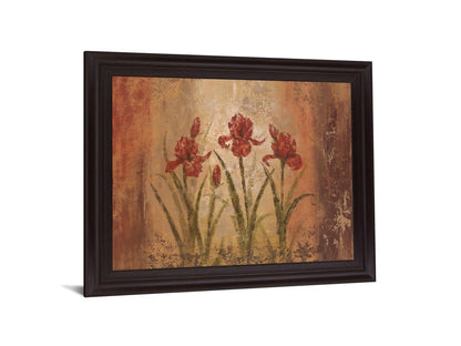 Rustic Crimson Irises - 28" x 34" Framed Wall Art