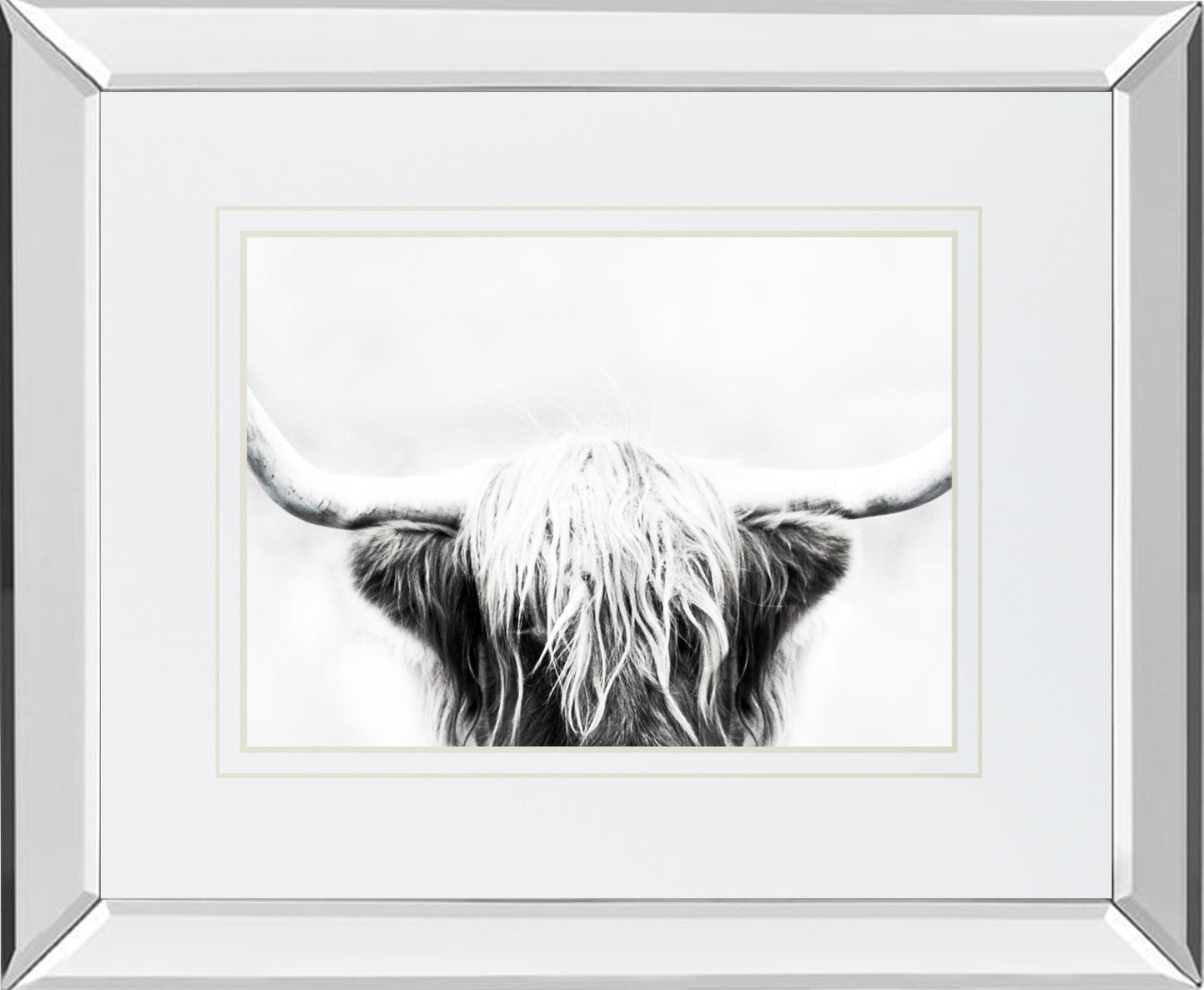 Longhorn By Danita Delimont - Dark Gray - Glass