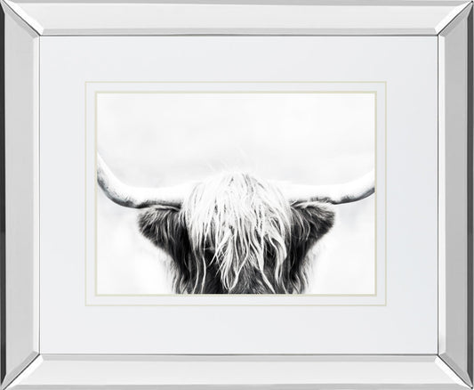 Longhorn By Danita Delimont - Dark Gray - Glass