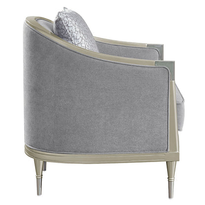 Fernando - Chair With Pillow - Gray Chenille & Champagne