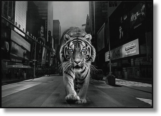 Glossy Painted Framed Canvas - Tiger Of The City - Dark Gray