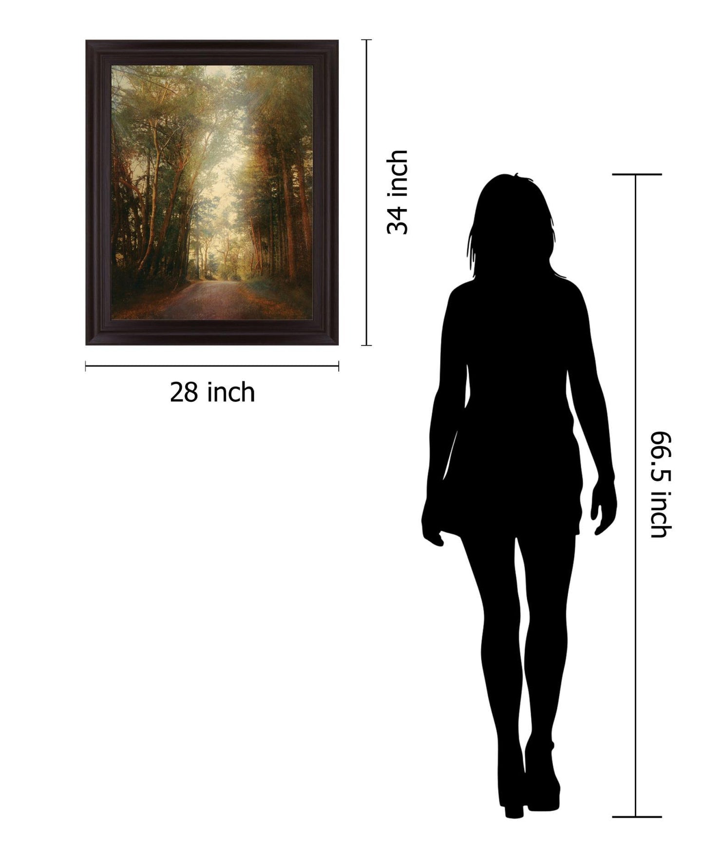 Sunbeam Woodland - 28" x 34" Framed Wall Art