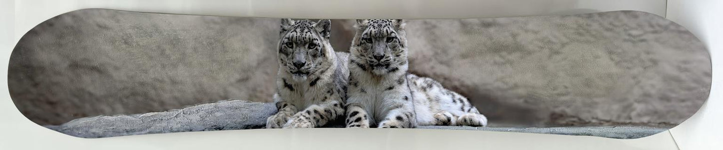 Snowboard - Cats - Gray