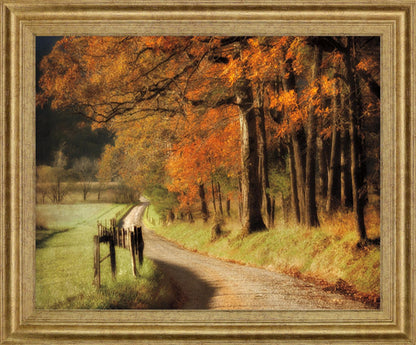 Amber Forest Pathway - 28" x 34" Framed Wall Art