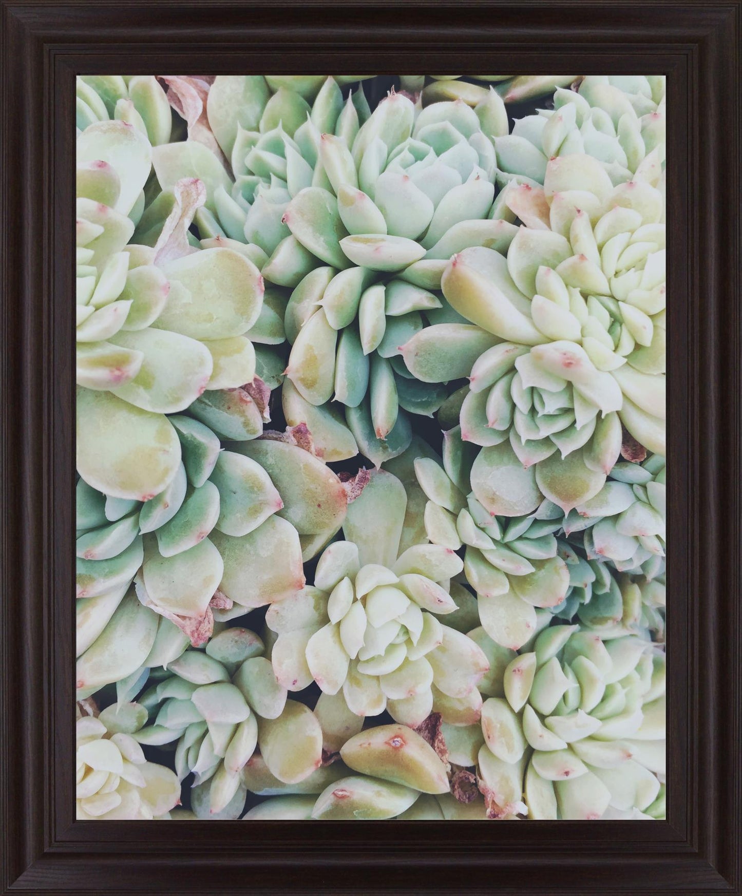Verdant Rosette Cluster - 28" x 34" Framed Wall Art