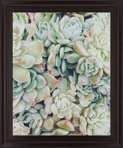 Verdant Rosette Cluster - 28" x 34" Framed Wall Art