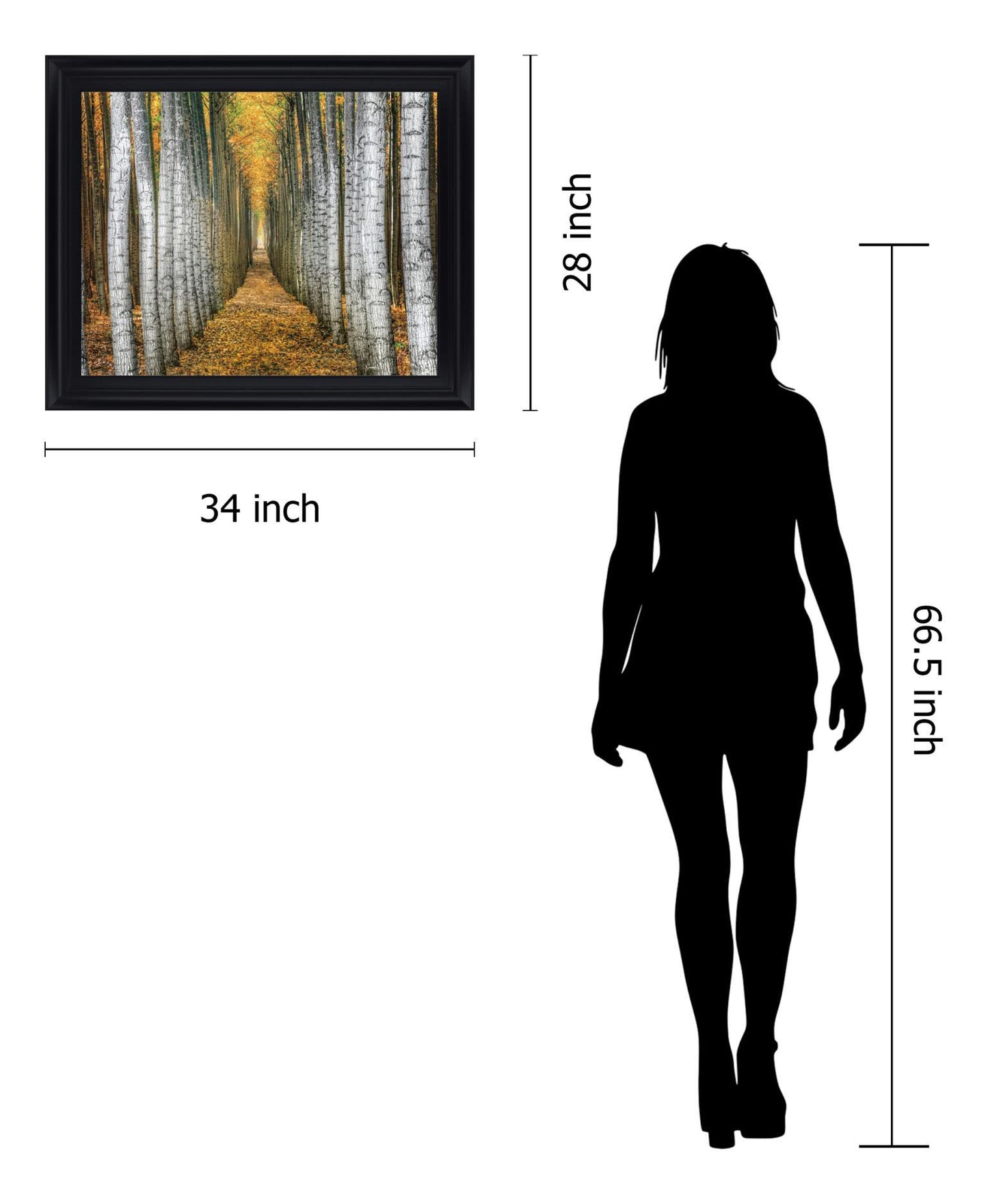 Golden Birch Passage - 28" x 34" Framed Wall Art