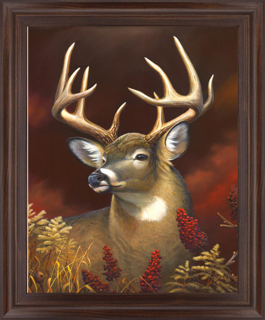Crimson Meadow Stag - 28" x 34" Framed Wall Art