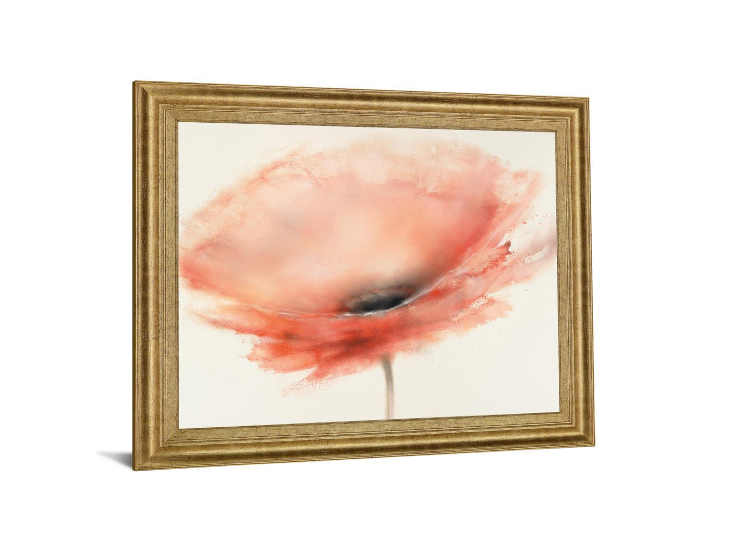 Coral Mist - 28" x 34" Framed Wall Art