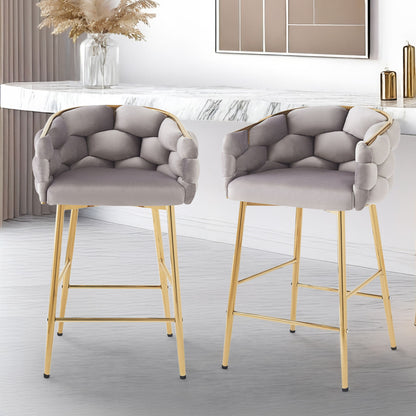 Modern Counter Stools (Set of 2)