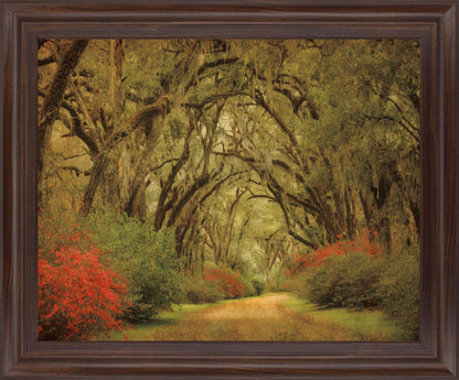 Mossy Woodland Trail - 28" x 34" Framed Wall Art