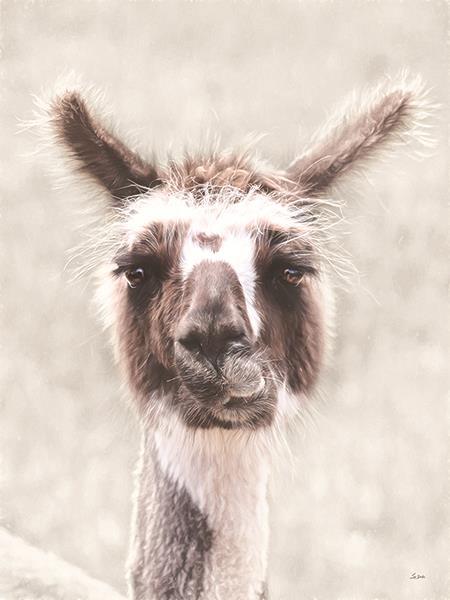 Quizzical Alpaca By Lori Deiter (Small) - Pearl Silver