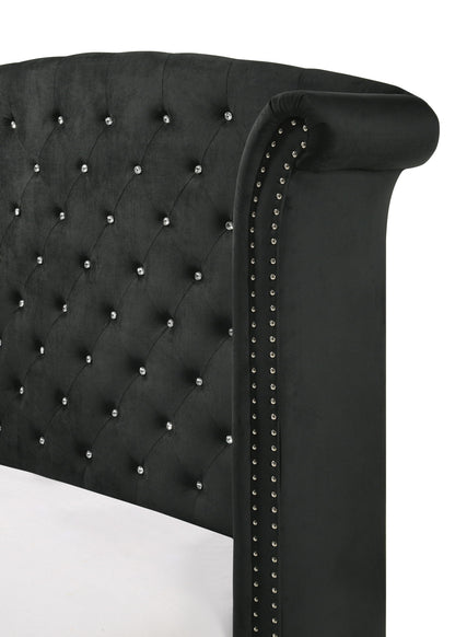 Lucinda - Queen Bed - Black