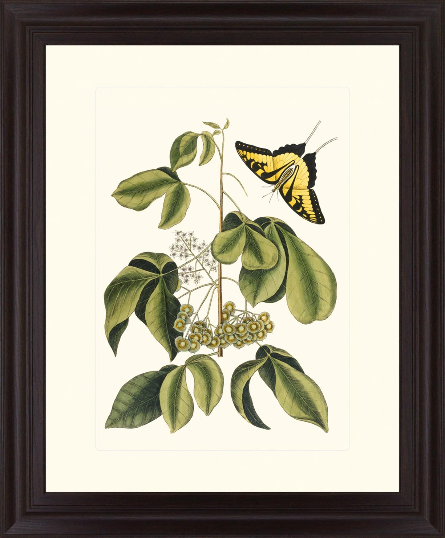 Butterfly Grove - 28" x 34" Framed Wall Art
