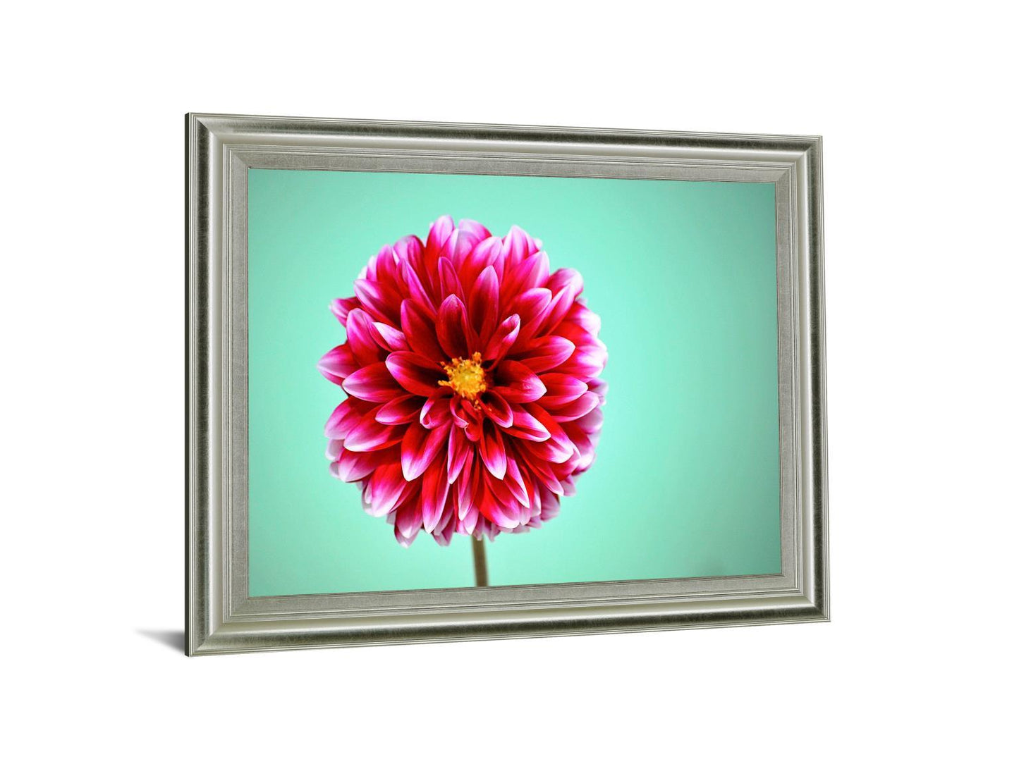 Crimson Radiance - 28" x 34" Framed Wall Art